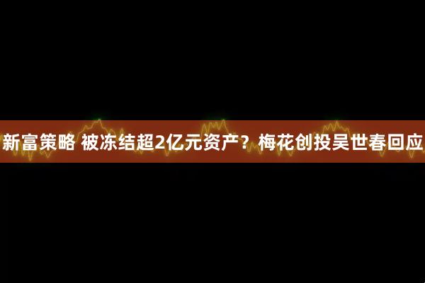 新富策略 被冻结超2亿元资产？梅花创投吴世春回应
