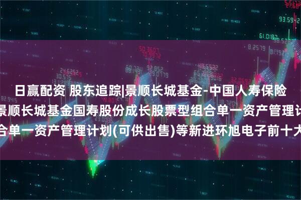 日赢配资 股东追踪|景顺长城基金-中国人寿保险股份有限公司-分红险-景顺长城基金国寿股份成长股票型组合单一资产管理计划(可供出售)等新进环旭电子前十大流通股东